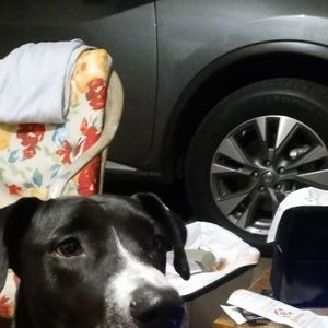 Meet your Posher, Jerry